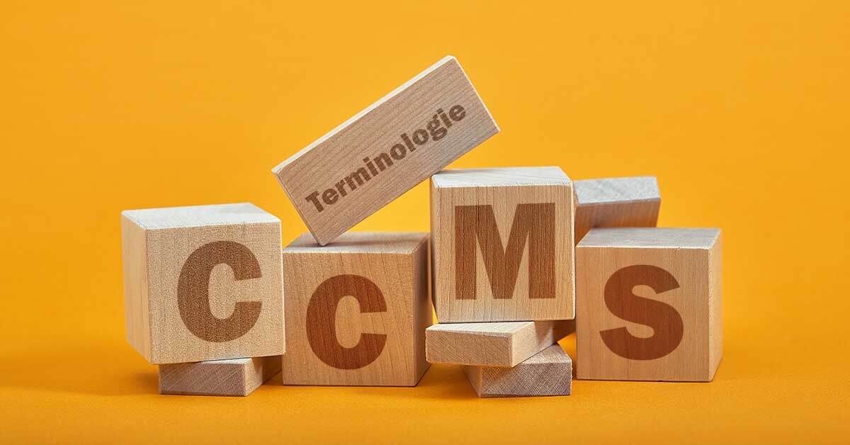 CMS-Einführung und Terminologiemanagement